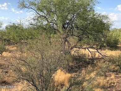 29670 S State Route 89 --, Congress, AZ 85332 - photo 7