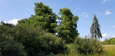 1849 N Mountain Lake Rd, Albion, IN 46701 - photo 5