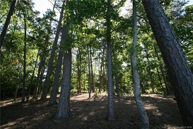 1548 Reflection Pointe Blvd unit 253, Belmont, NC 28012 - photo 7