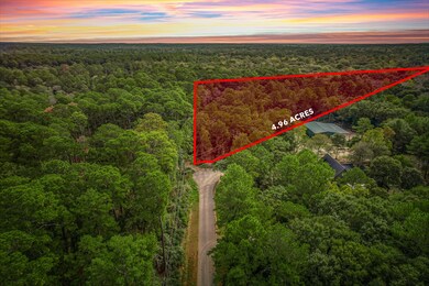 21701 Dan Dr, Magnolia, TX 77355 - photo 2