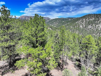 456 Lo Meadow Ln unit 13, Bailey, CO 80421 - photo 3