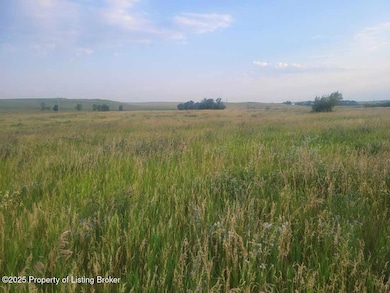 0 12th St W, Lemmon, SD 57638 - photo 3