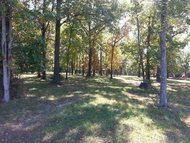 Lot 284 Little Aunts Creek Rd, Kimberling City, MO 65686 - photo 3