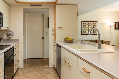Kitchen View 1