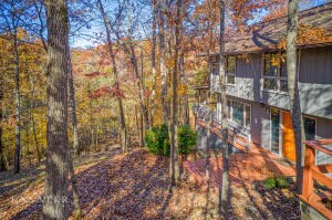 3179 Wolf Springs Rd, Harrison, AR 72601 - photo 5