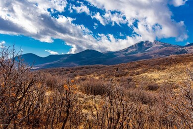Lot-View_1800x1200_3167789