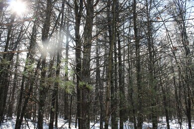 IMG_6087
