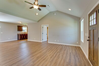 908 Castle St, Shelbyville, TN 37160 - photo 4