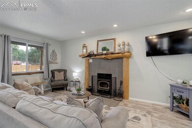 601 Dallas Aly, Woodland Park, CO 80863 - photo 5