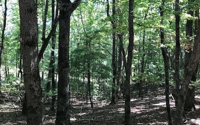 Additional View