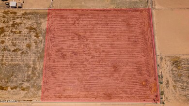 Lot Top - Lot Lines