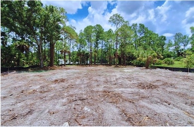 Photo of the cleared lot