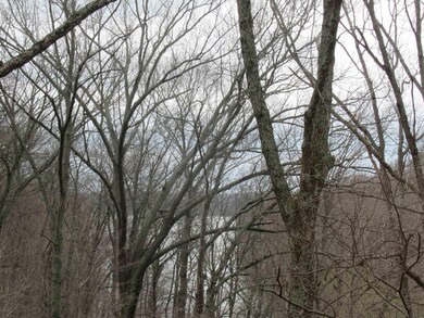 seasonal lake view, the woods will fill with leave