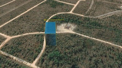 0 Union Dr, Alford, FL 32420 - photo 4