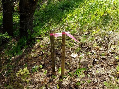 Balsam Bluff Lots (3)