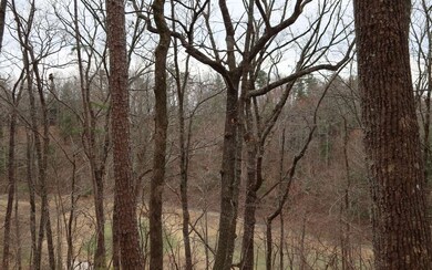 2786 Summit Dr, Ellijay, GA 30536 - photo 3