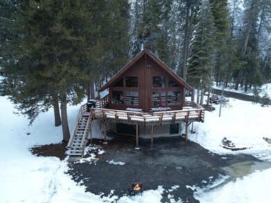 ponderosa 3