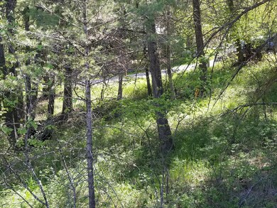 230 Eagle Bend Dr, Big Fork, MT 59911 - photo 5