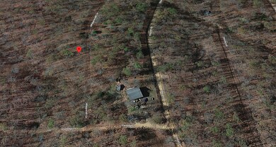 21 Whippoorwill Cir, Other, AR 72482 - photo 4