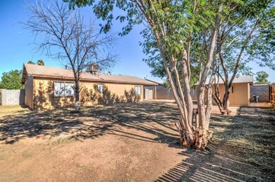 Large yard