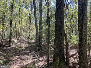 0 Flatwoods Rd unit 10649821, Elberton, GA 30635 - photo 6