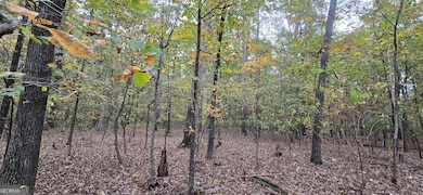 12895 Highway 36, Covington, GA 30014 - photo 7