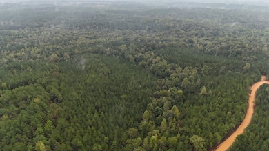 0 Scott Senter Rd, Fulton, MS 38843 - photo 2