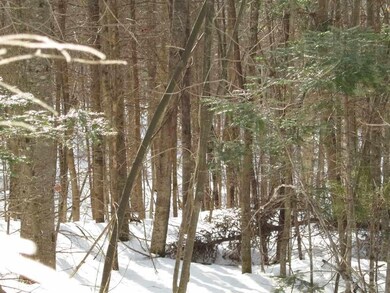 42 Jordan Hill Rd unit 42, Columbia, NH 03590 - photo 4