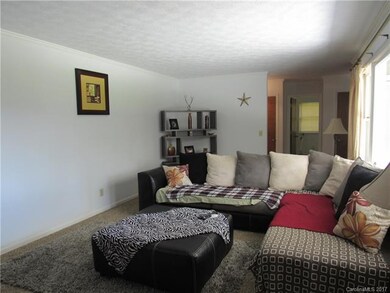 113 Richards Dr, Hendersonville, NC 28792 - photo 3