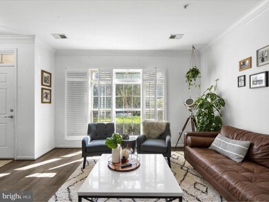 42265 Terrazzo Terrace, Stone Ridge, VA 20105 - photo 5