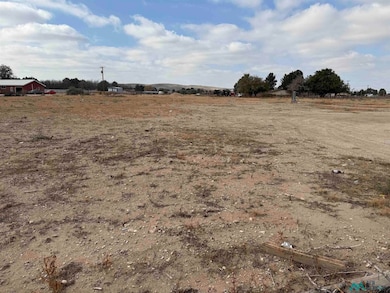 S of 2003 Standpipe Rd, Carlsbad, NM 88220 - photo 3