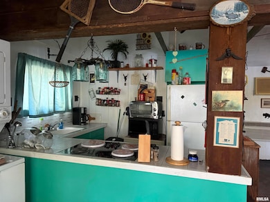 20 Willits Ln, Keithsburg, IL 61442 - photo 7