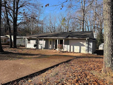 160 Hiawatha Dr, Cherokee Village, AR 72529 - photo 2