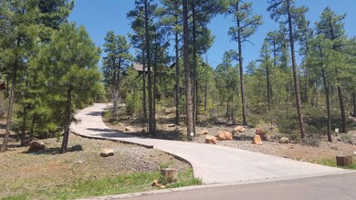 2321 S Bristle Cone Dr unit 345, Show Low, AZ 85901 - photo 3