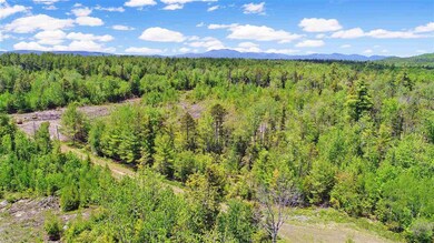 9 Forest View Dr, Effingham, NH 03882 - photo 5