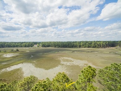 Tree top view