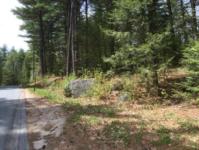 0 Mountainside Dr unit 4496495, Newbury, NH 03255 - photo 4