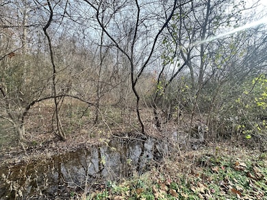 210 Trotter Rd, Waverly, TN 37185 - photo 2