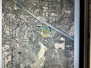 0 Scott Rd, Ellerslie, GA 31807 - photo 3