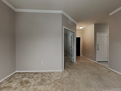 11915 Silver Valley, San Antonio, TX 78254 - photo 6