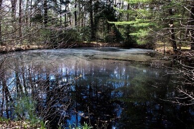 345 State Rd, South Deerfield, MA 01373 - photo 7