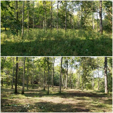 5125 Bohon Rd, Harrodsburg, KY 40330 - photo 3