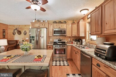 1601 S Branch Mountain Rd, Moorefield, WV 26836 - photo 5