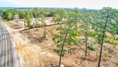 9422 Farm To Market 62, Barnum, TX 75939 - photo 7