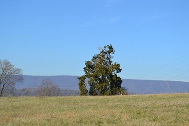 90+/-Acres Old Rhea Springs Rd, Spring City, TN 37381 - photo 4