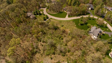 DJI_0273