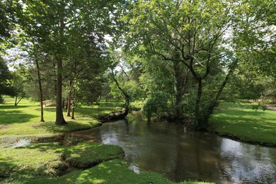 Creek that runs through the subdivision.