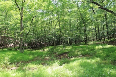 859 Brush Creek Rd, Winchester, VA 22603 - photo 2