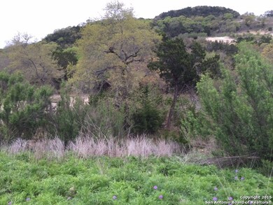 8519 Camp Verde Rio, Cross Mountain, TX 78255 - photo 5