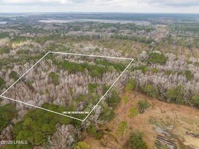 Tbd Morgan Rd, Seabrook, SC 29940 - photo 6